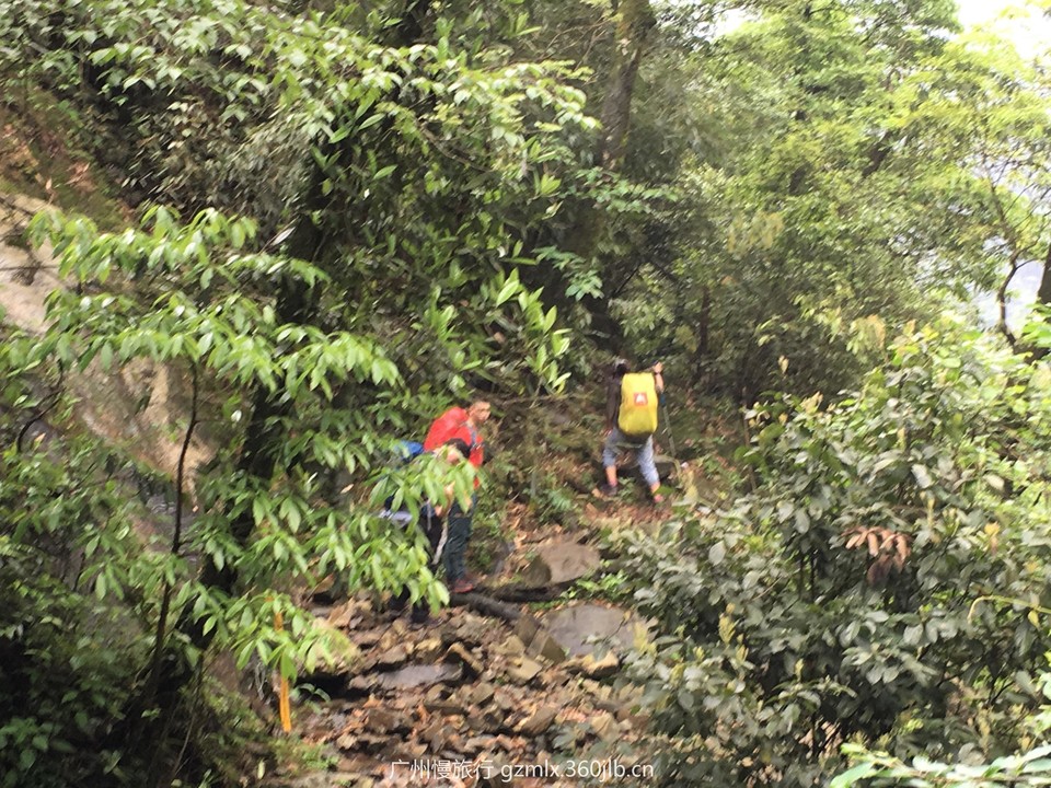 3ea7516e89bb97c6aa119252f3ab8244_org