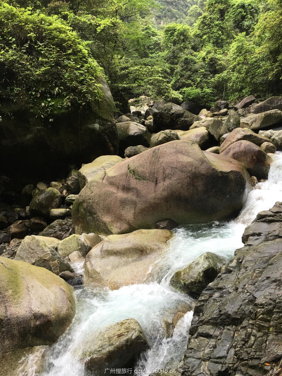 3efad62d5d505fe5a7a3d3e0b3c6a331_org