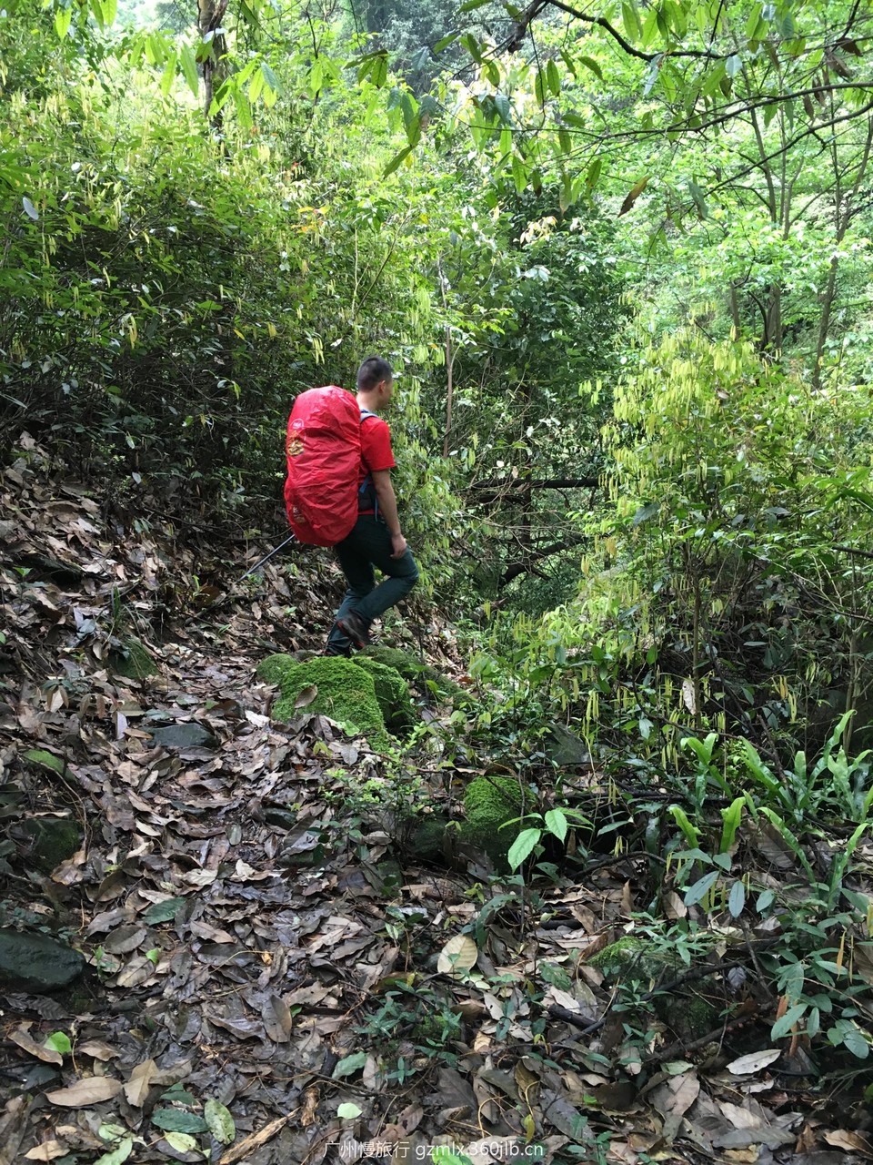 3f5141d9bcdb6a4597ca6c026f711cbf_org