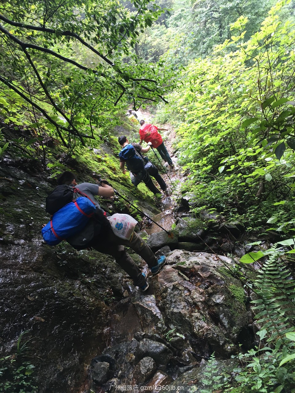 4c8443227bdd456009a21c5784bedd67_org