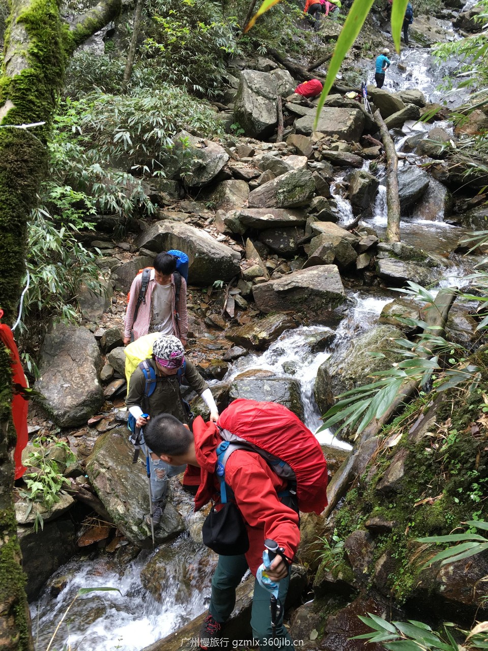 5a3abceddcf05e3a48a39f97ddbc7311_org