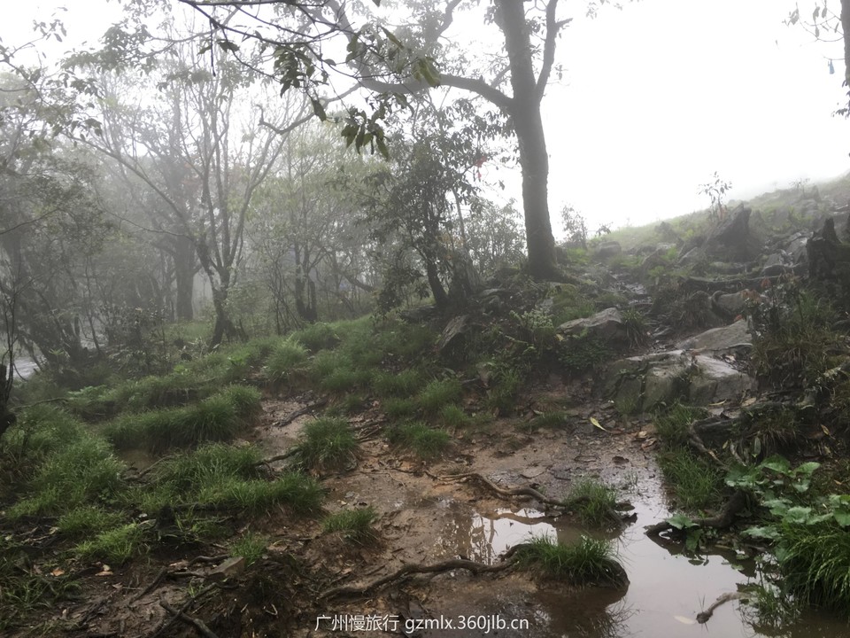 5a629ad97f5103677c76c301e2fca032_org