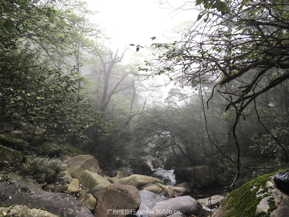 5b1d2f362bba7870a2a5d8ea1e3942e8_org