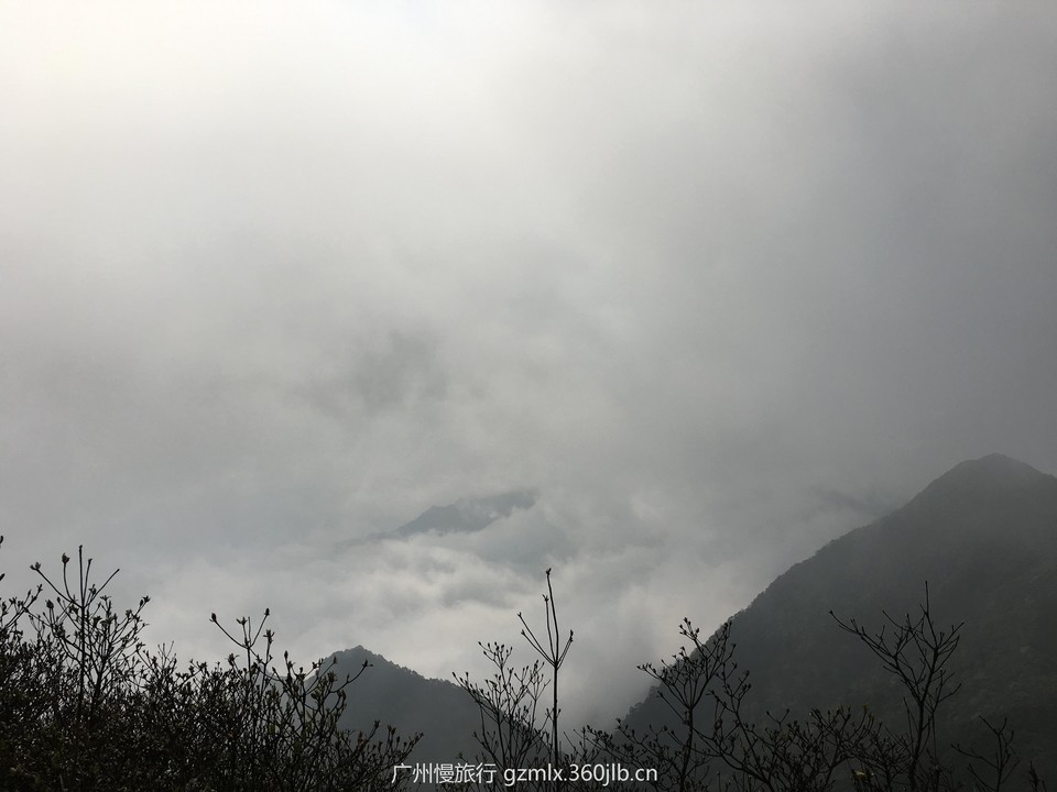 5cabf288a077a6f7a017e43764248999_org