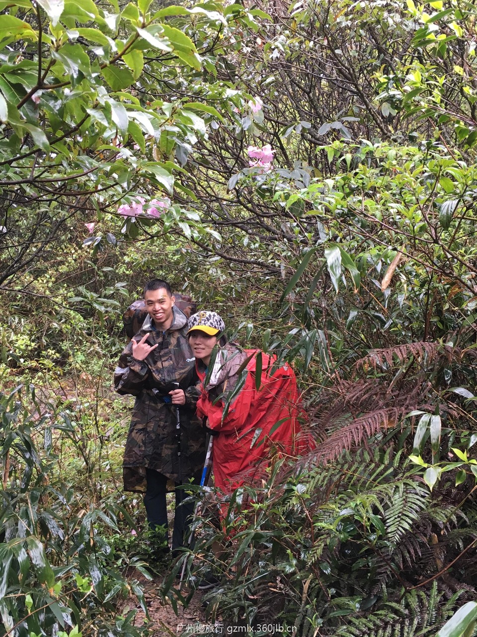 5d5a69a056ce83b9877f88776173ef7d_org