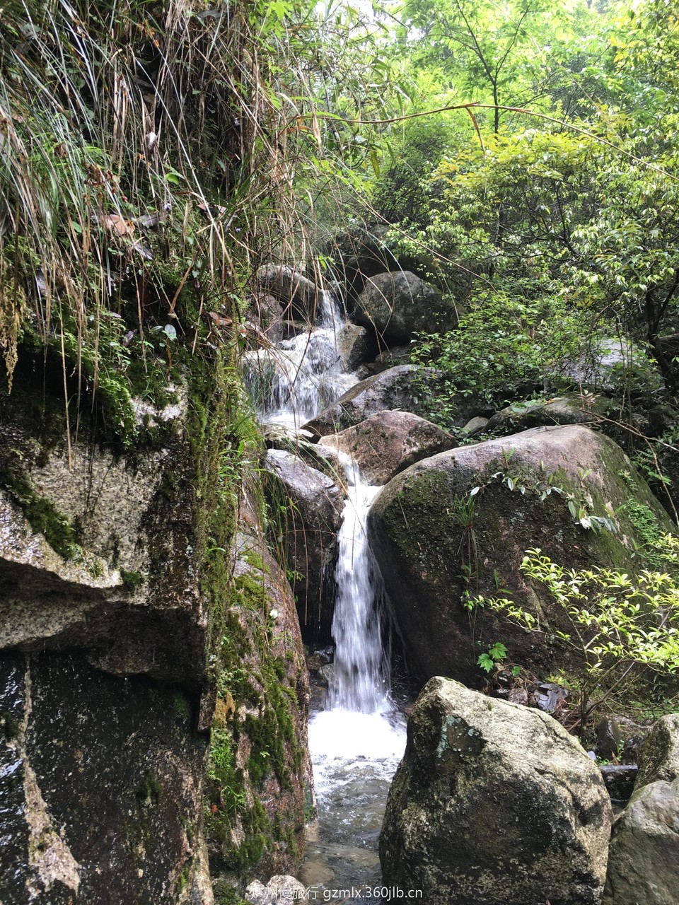 6be2d68aba27ceb5cfa366e3898cb9ed_org