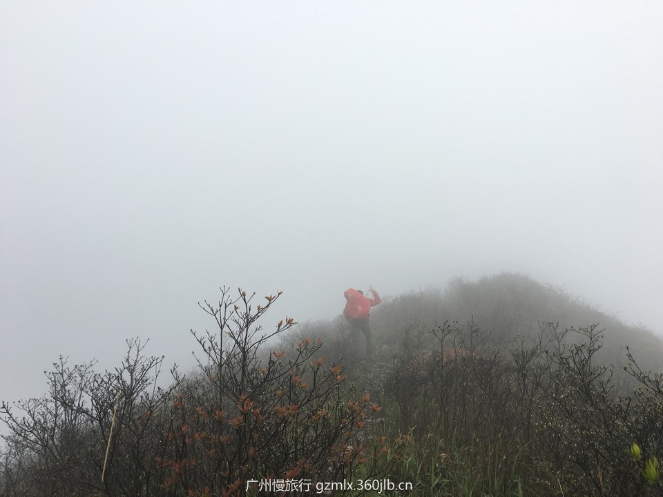 6e64e05873f1ffebcac39d0380aacefb_org