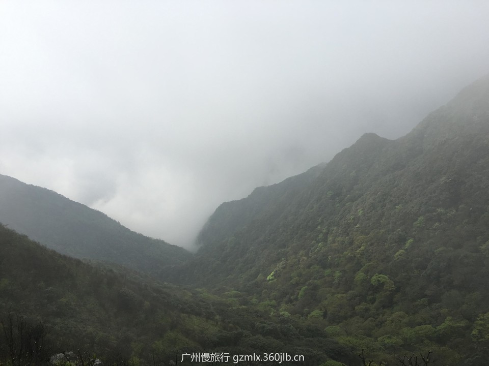 8ca3cf01227b7dcab7d7c4e815d060dc_org