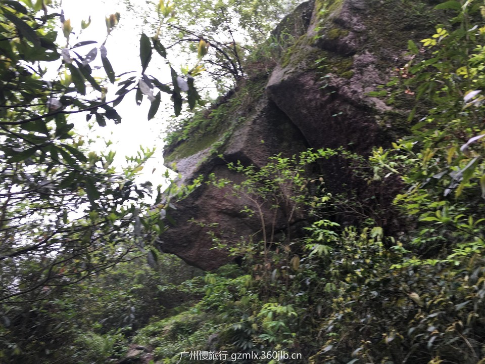 9fd239822ddf43361c5157fc31d66a72_org