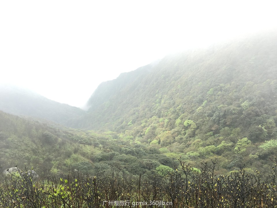 33e42f386e2b27310a126466bfea83f1_org