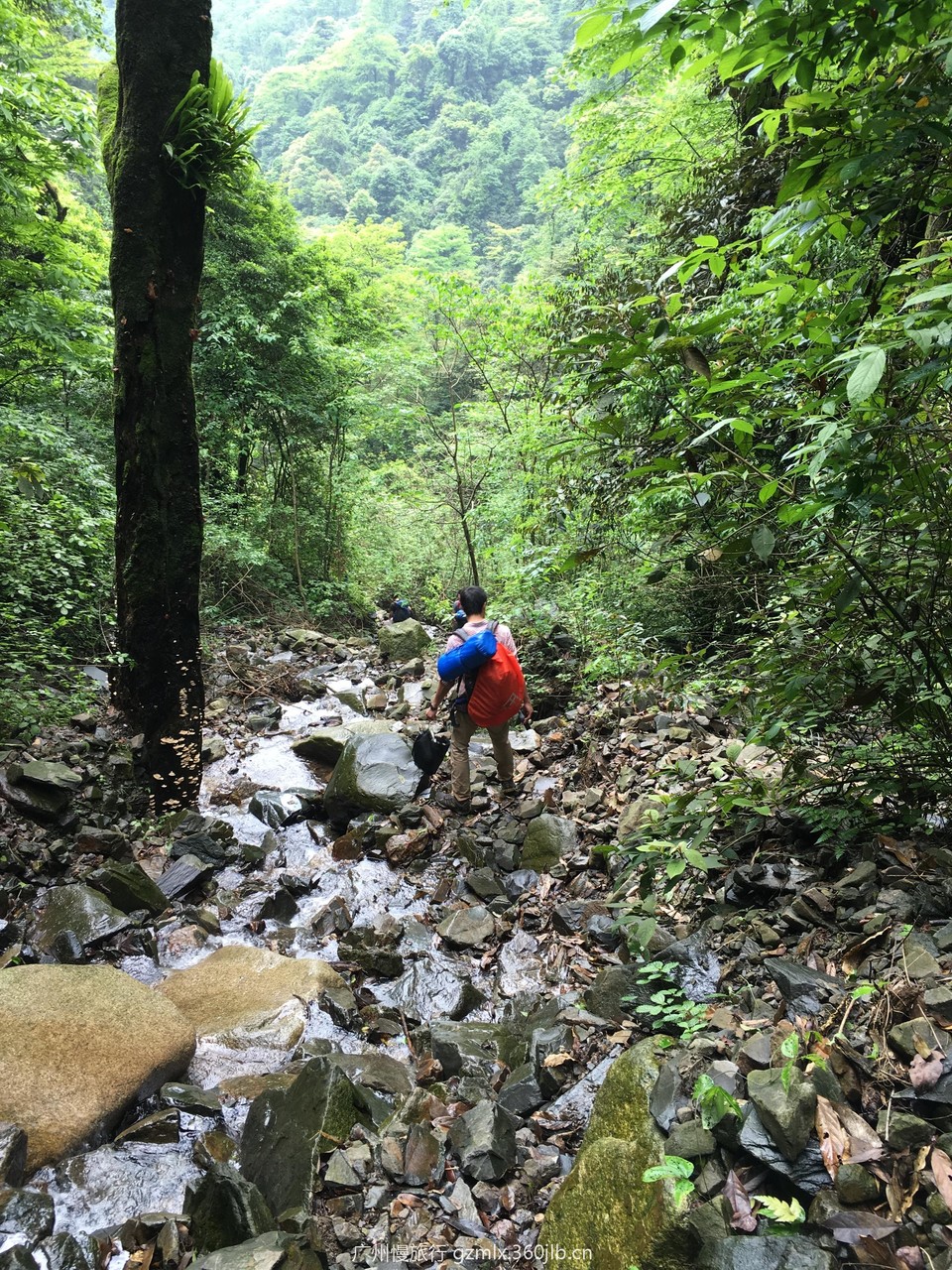 42af5dc77702f430b405f61fb987a2b2_org