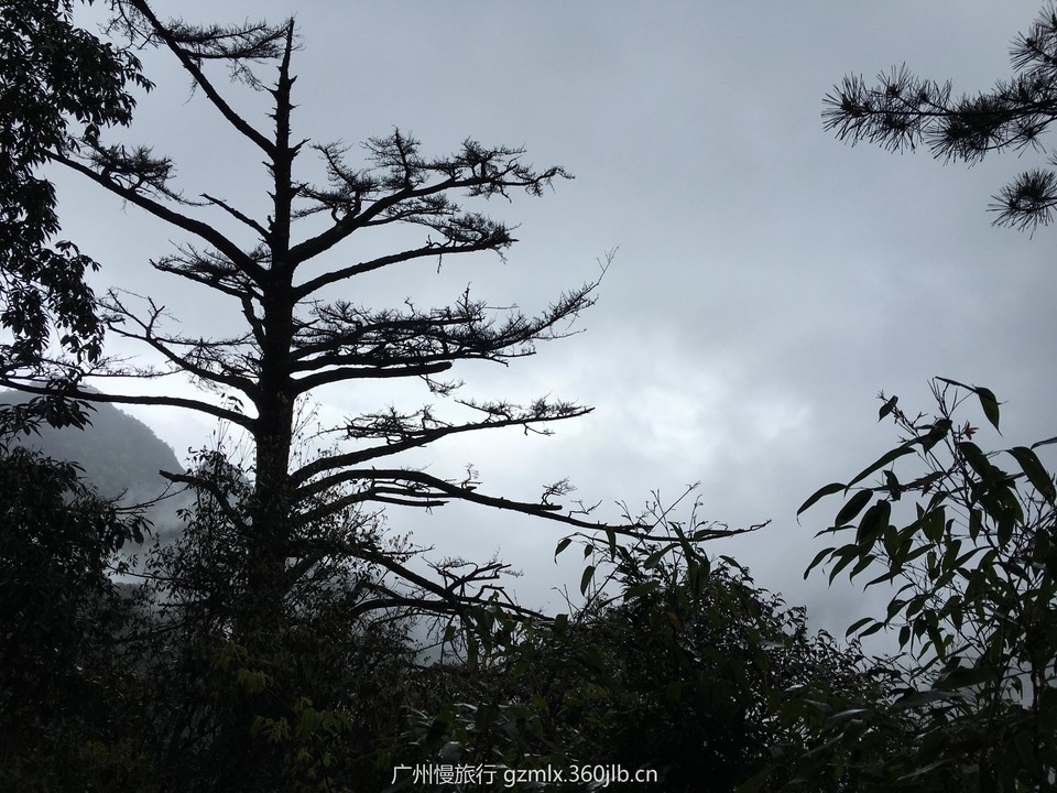 47c87624d1874cff553c9b8ae9c2e922_org