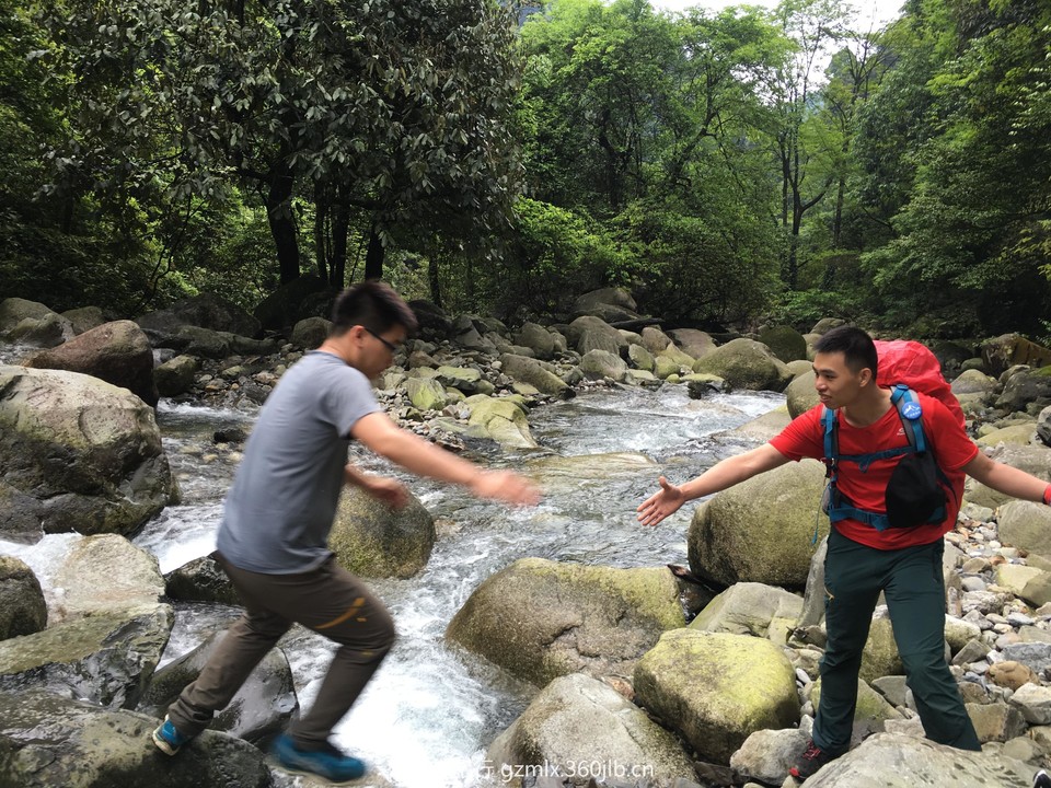 68d13df71d69910ba2a5232be34439d7_org