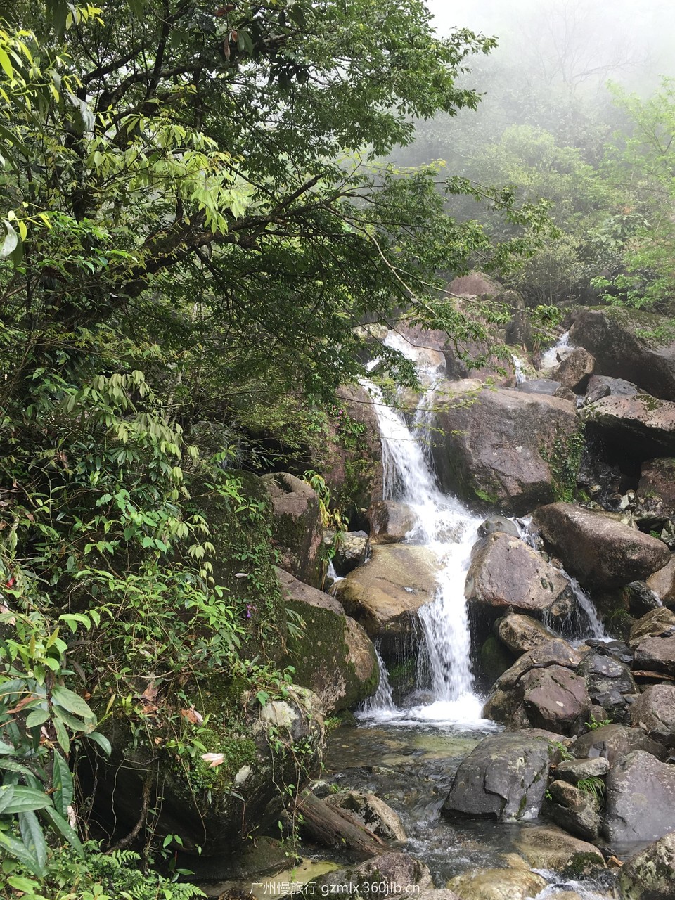 84fa311ae3c65cf330662688828d0bd5_org