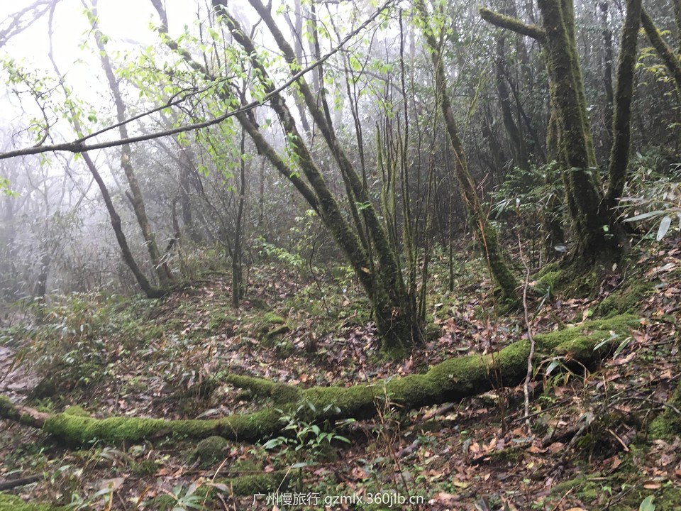 86bf552e470d5f49a7e7eb6e84f8ee87_org