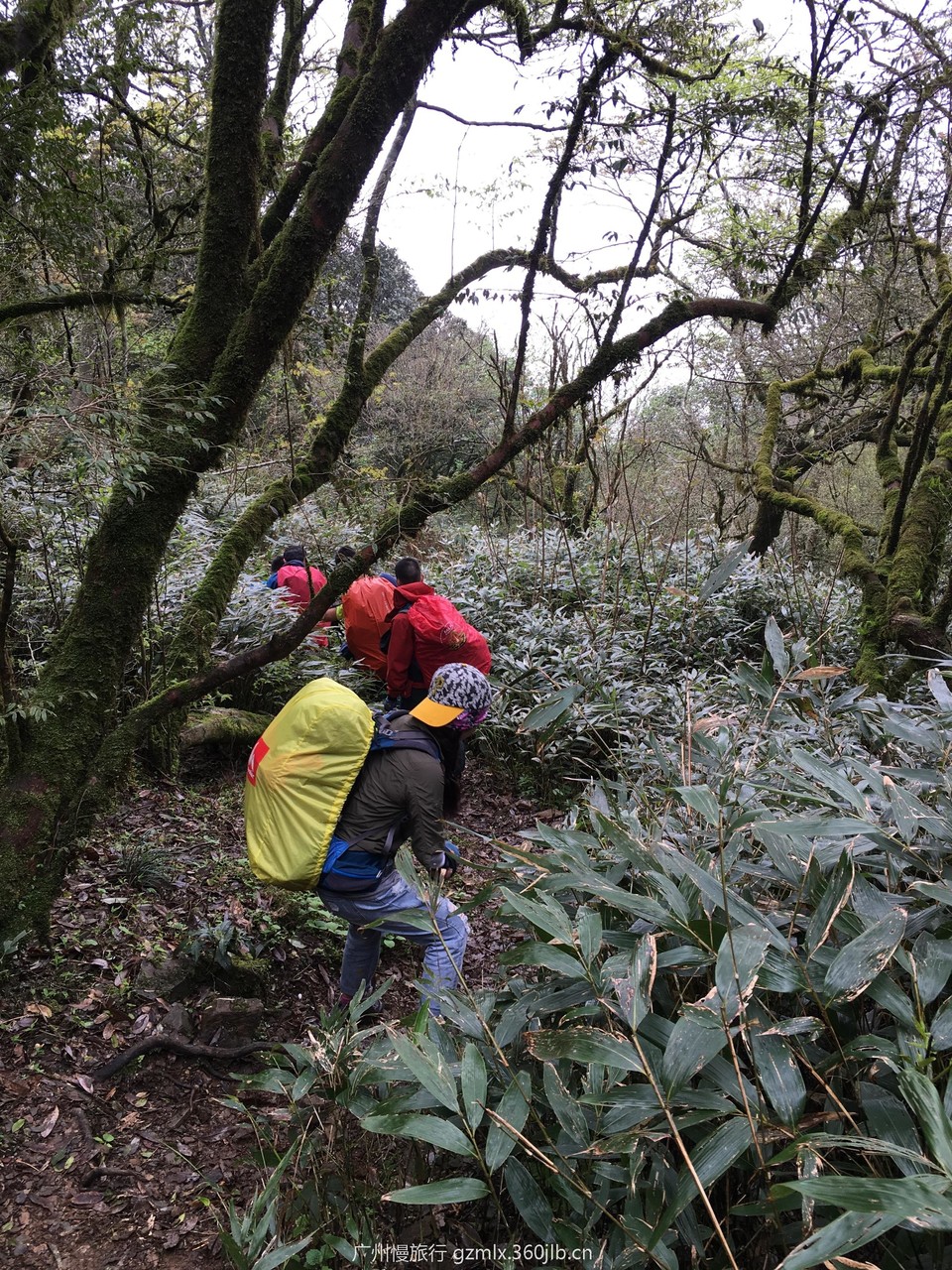 89c53ffe25d1920b6b9856678762d4b4_org