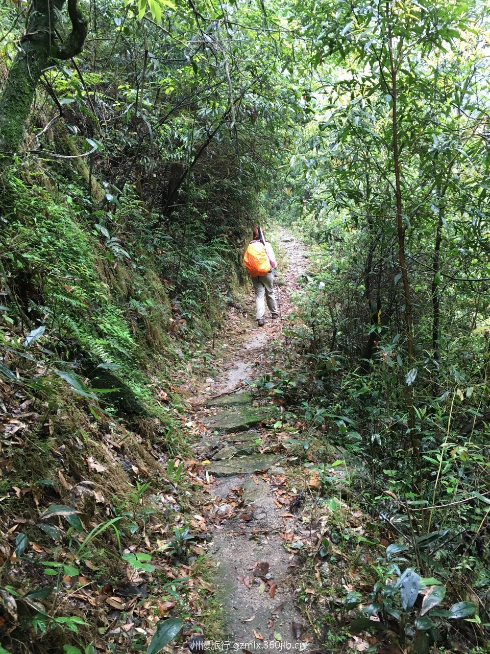 90c8ef512a6224dcb4ed75fb27897578_org