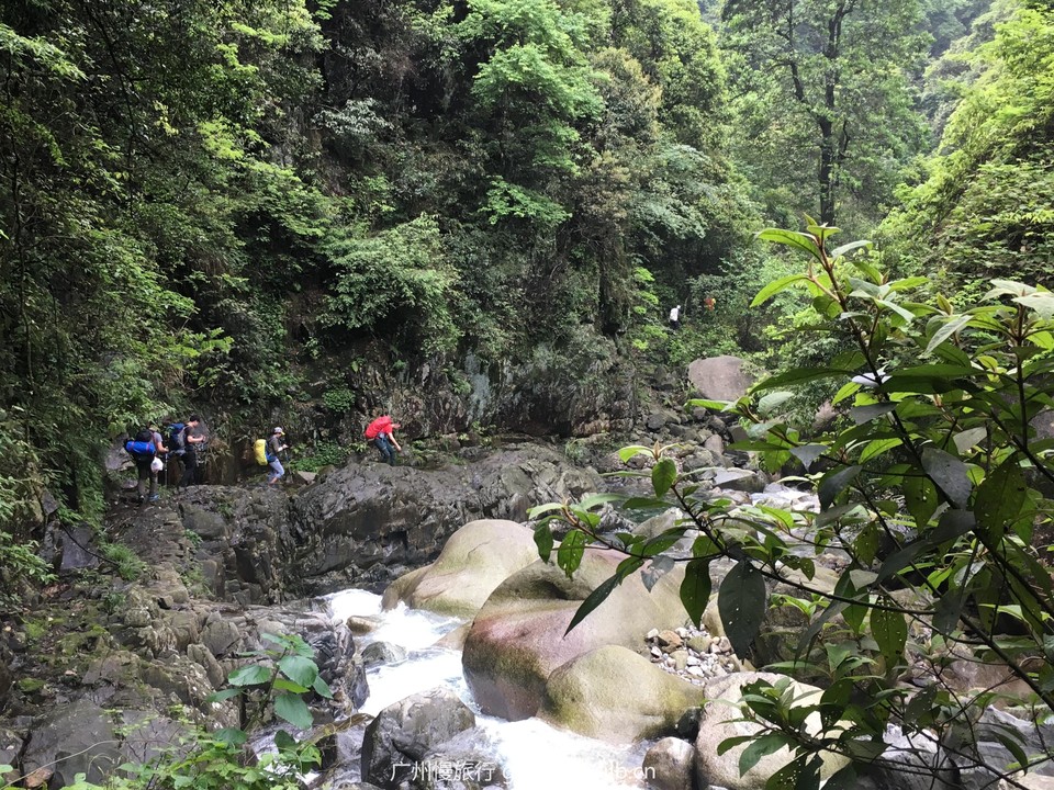 95c4f719af15d73789f67b7215b83998_org