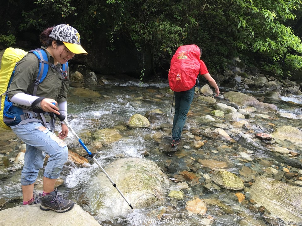 98f69acfd740a01c260dd65ad96c3f3e_org