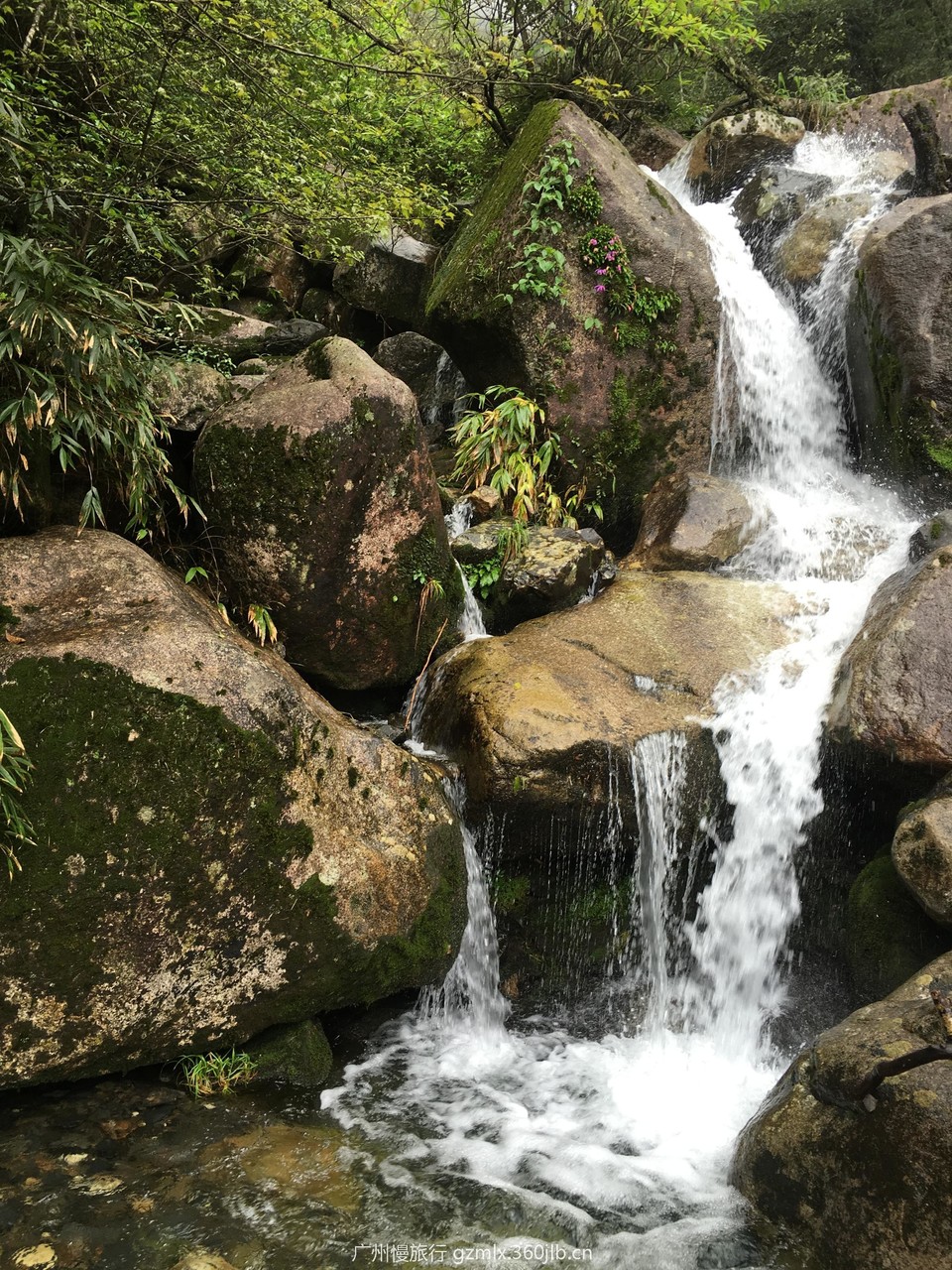 99e0ced8f28d7b49840abd499221b9a2_org