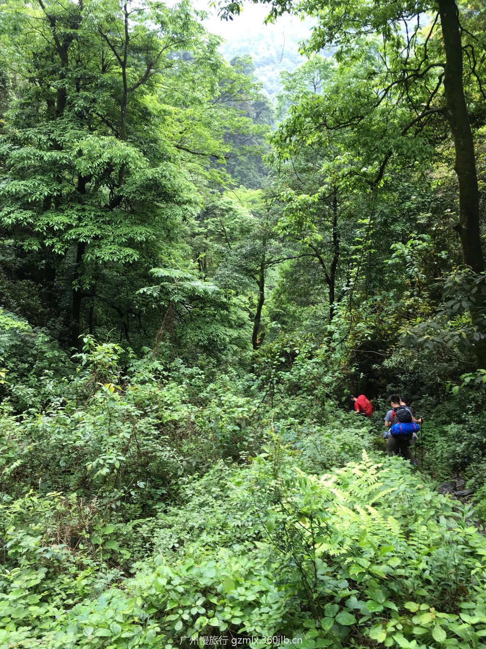 166d31d167730898d25b331bae74eb79_org