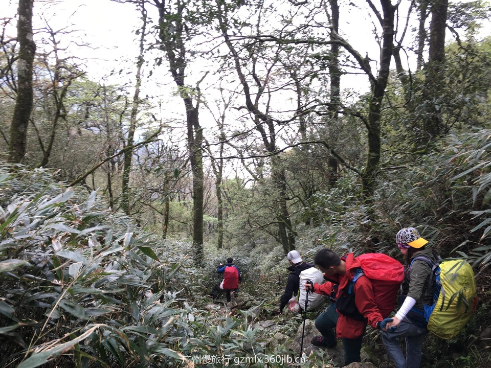 394f12882e46d4399d7d9fb74cbfdf93_org