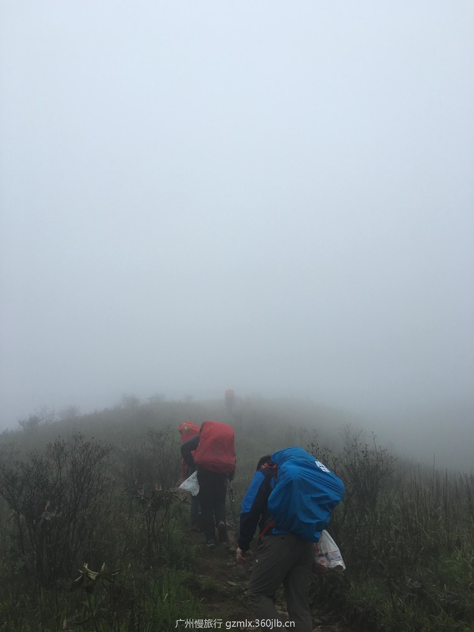 441d7c2ff23f2ddded883cda5ffb31a7_org