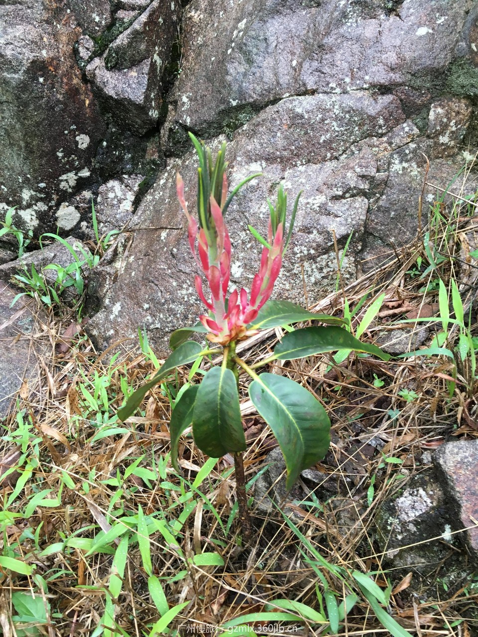 499a62f7eeff5846d8b563ab5fbb0600_org