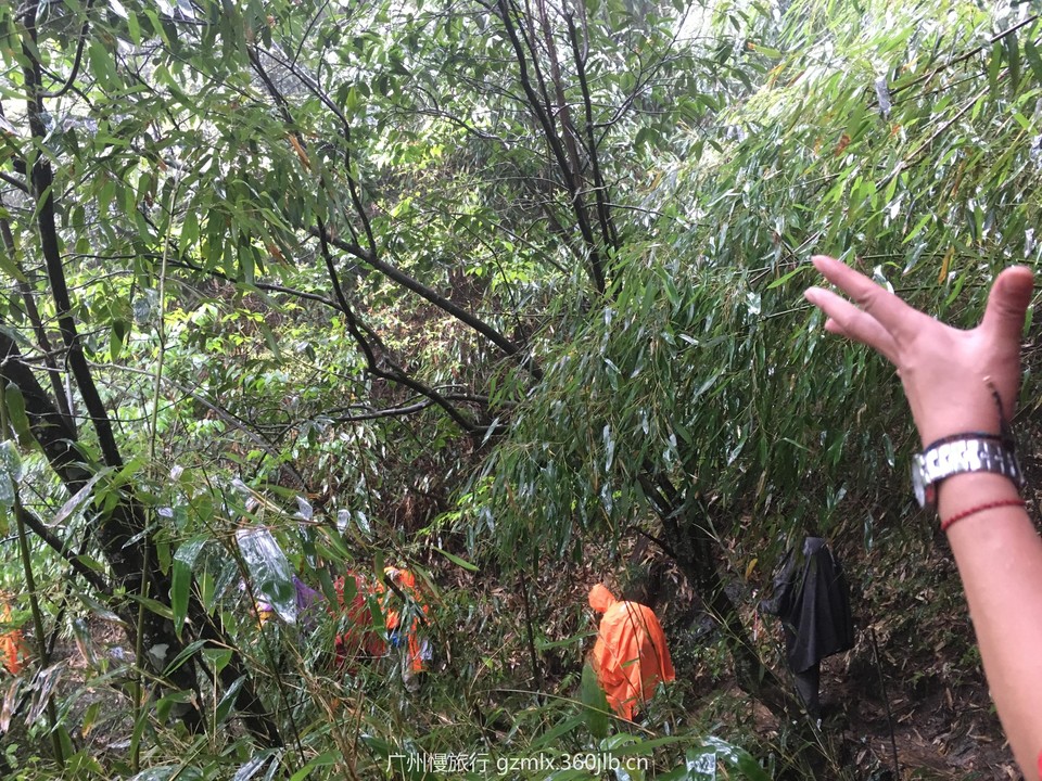 597d4785b5a430b76f5c3b32ecc8418f_org