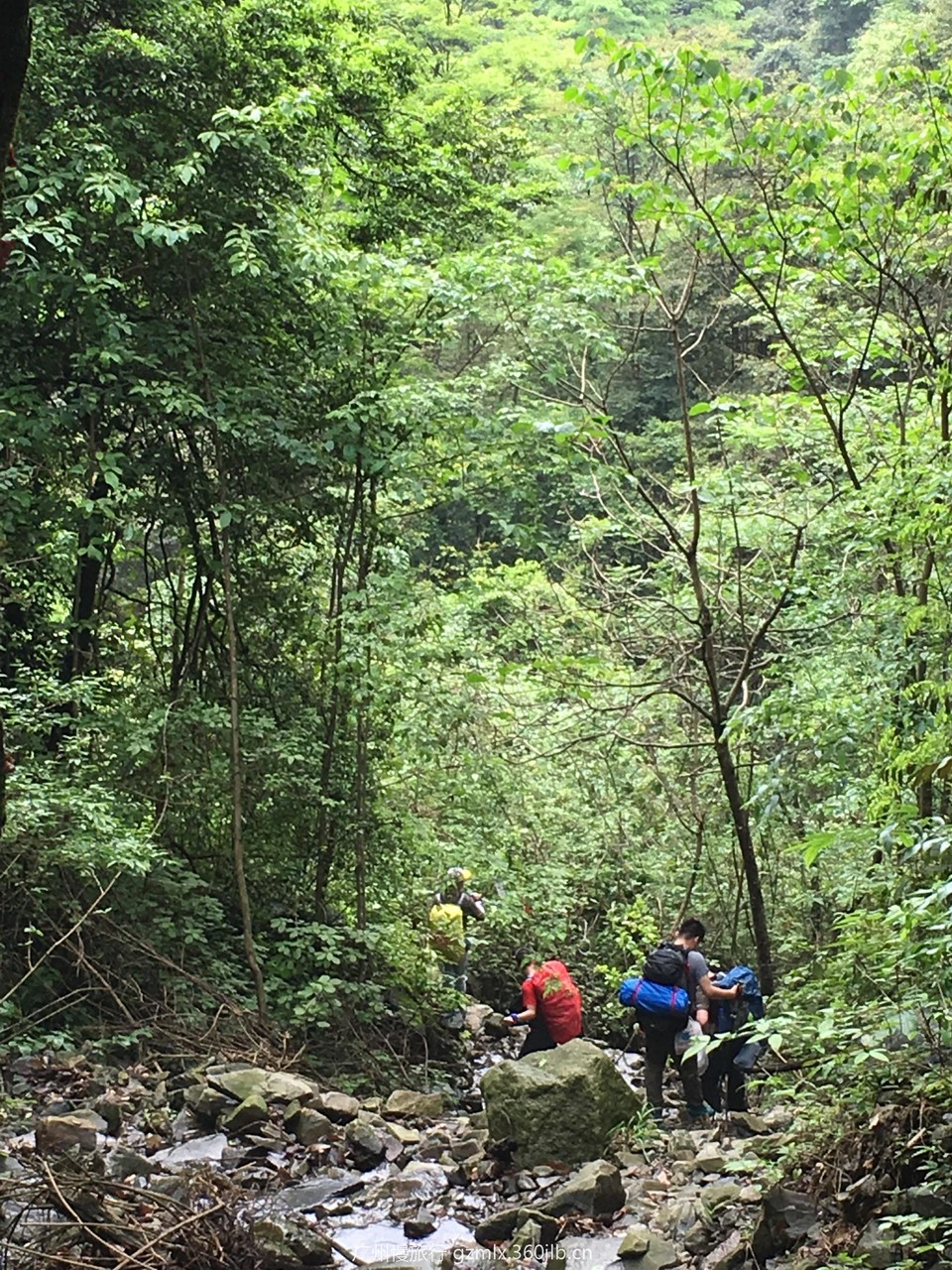 659b363ddcb955093ae1a31cd28386e4_org