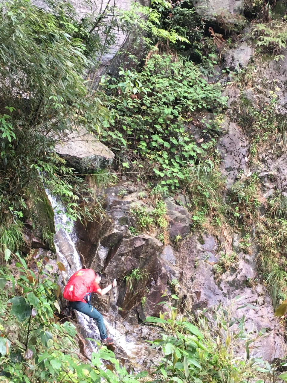 790d035d51be6e901ff9b55ca3fd428b_org