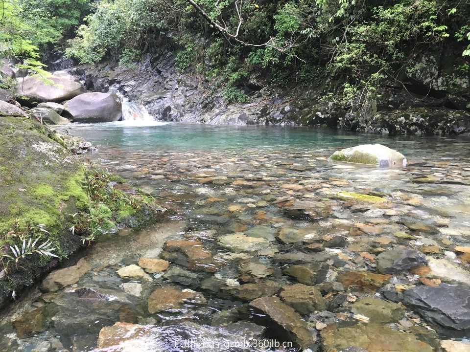 7953ebff88da66fa290426137d1596f8_org