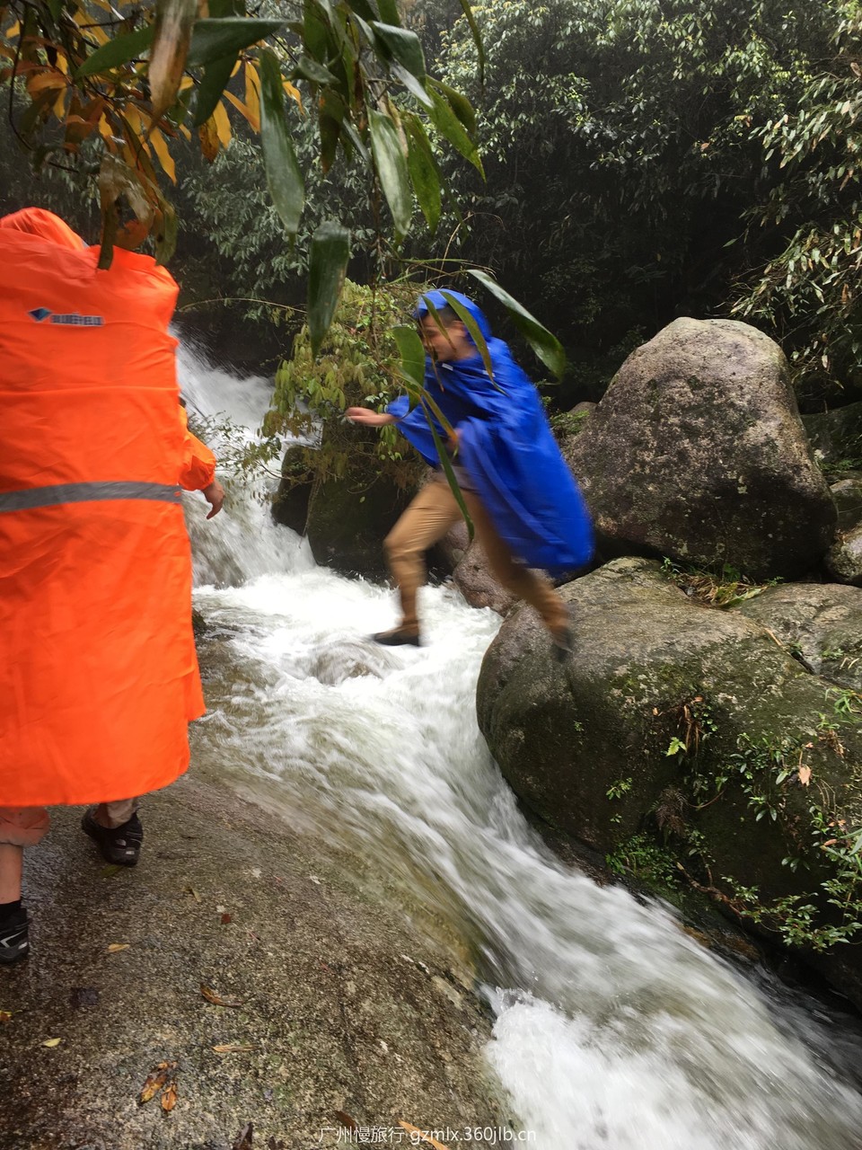 9826b25f18a1224a57145887a1921289_org