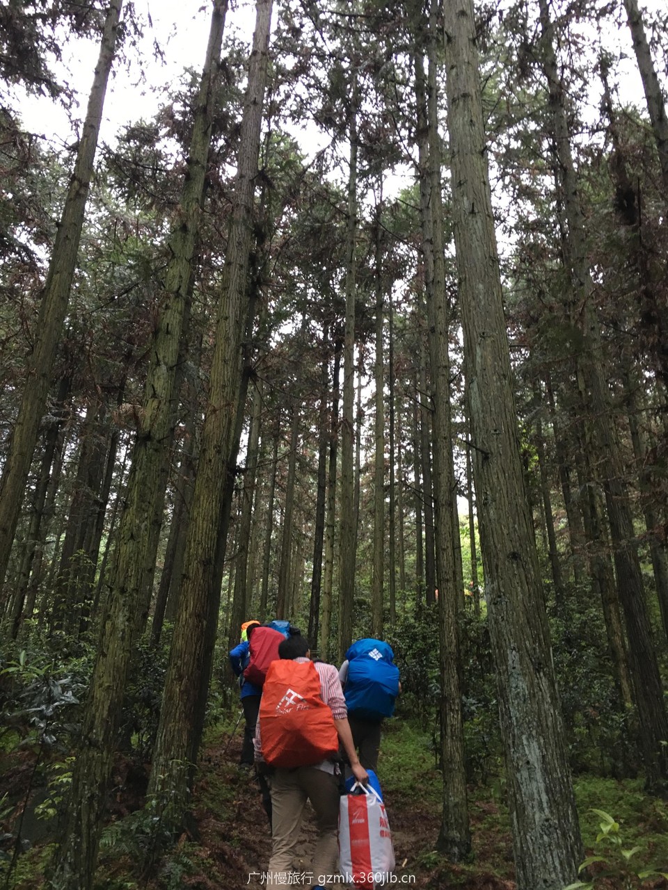 96690bd0f32669aefa17bd54cf1d22fa_org