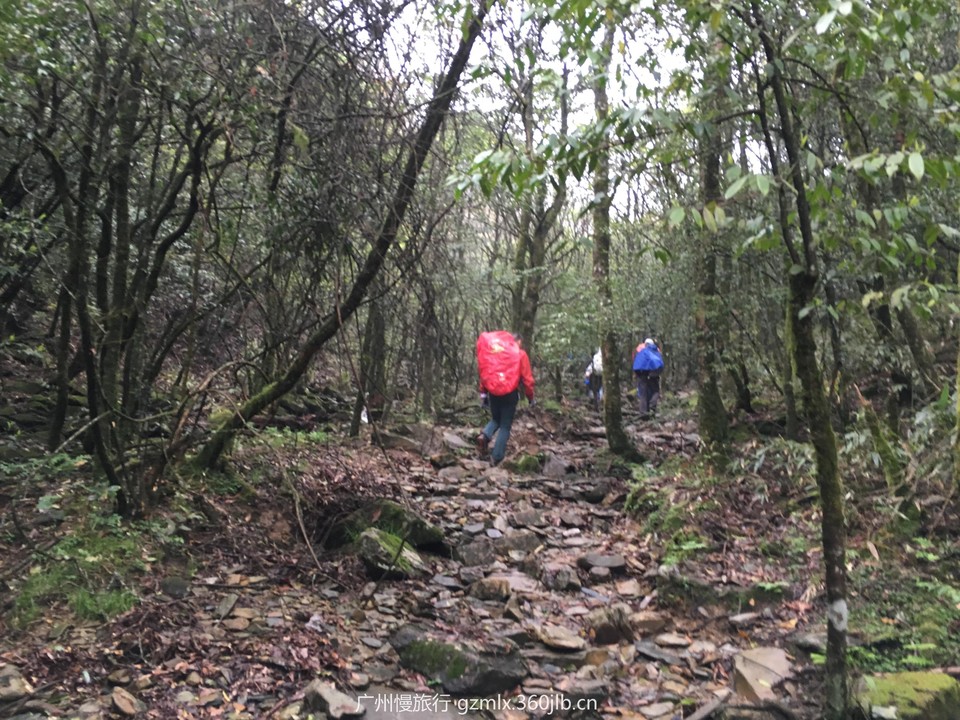 99134aad226ce25ed3dad636961578db_org