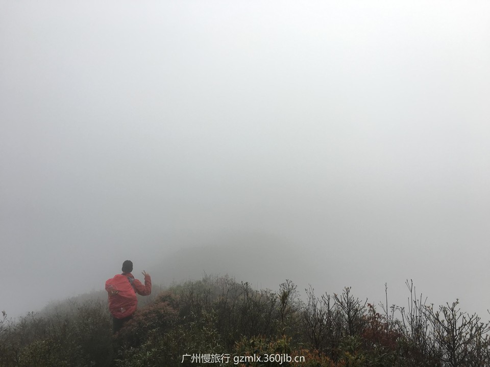 178037fcd1abc7be3988ed67cb44117f_org