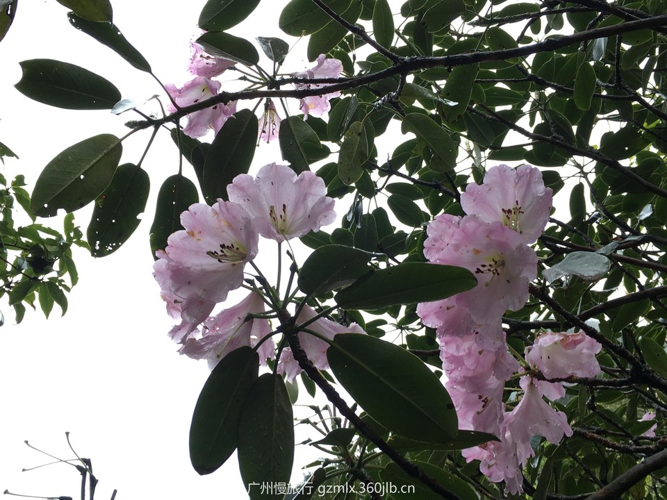 292031cafbae19a3a28ab09f7ca1e40e_org