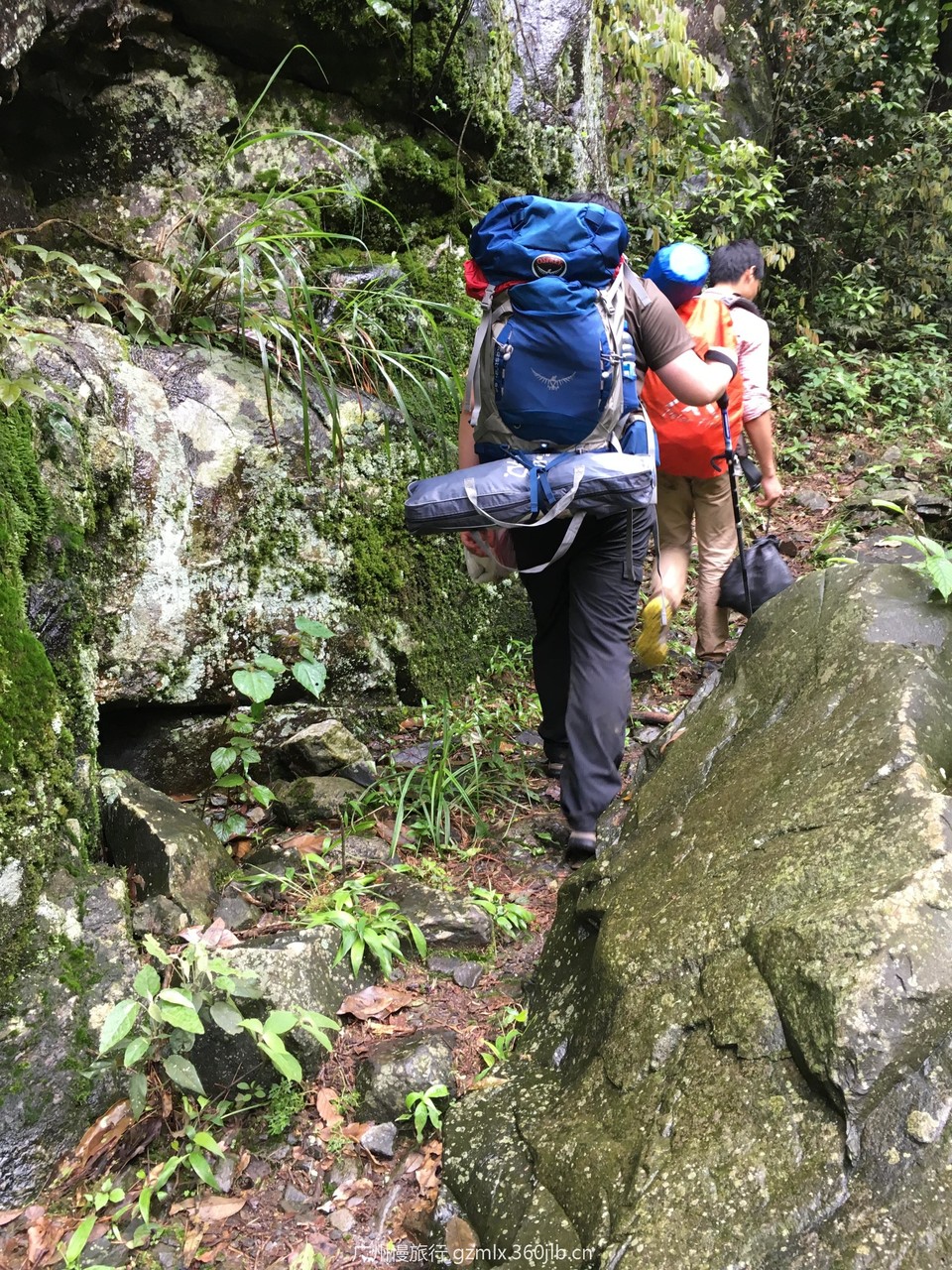 6168368e9a57d992cd6c566b4af970a2_org