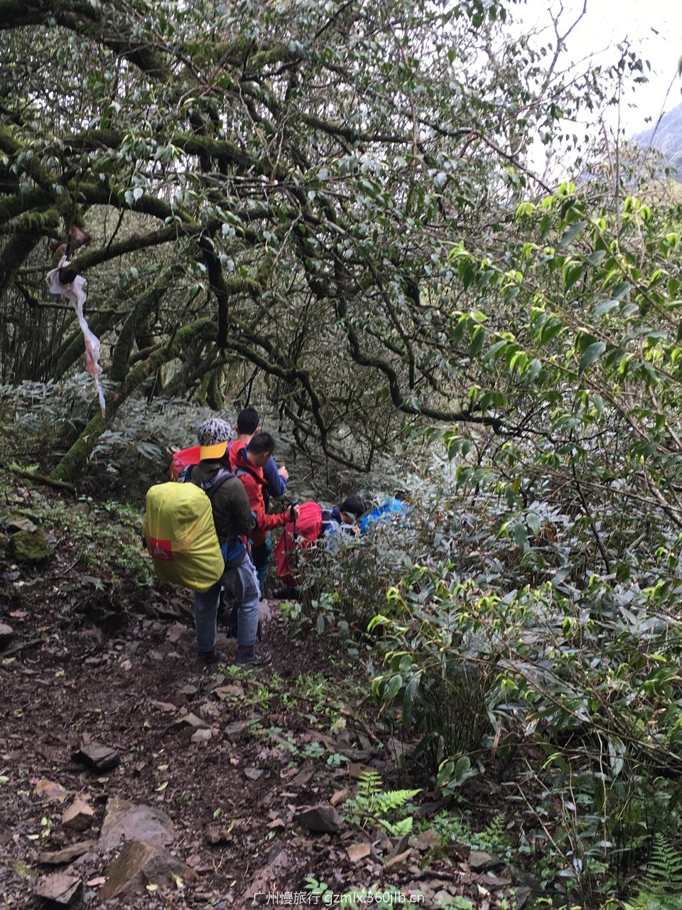 7074857a28d527f6556a925bd4595f44_org