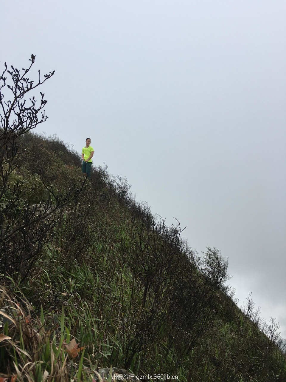 34112955ba6a12503db93ba51985452c_org