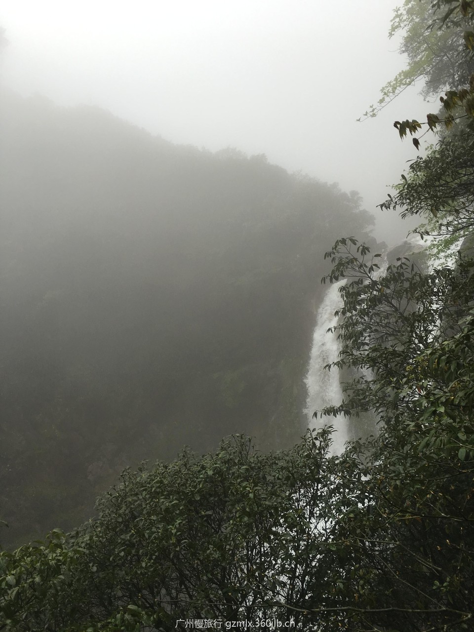 57745785787ff553d4fca6306c3bd0b4_org