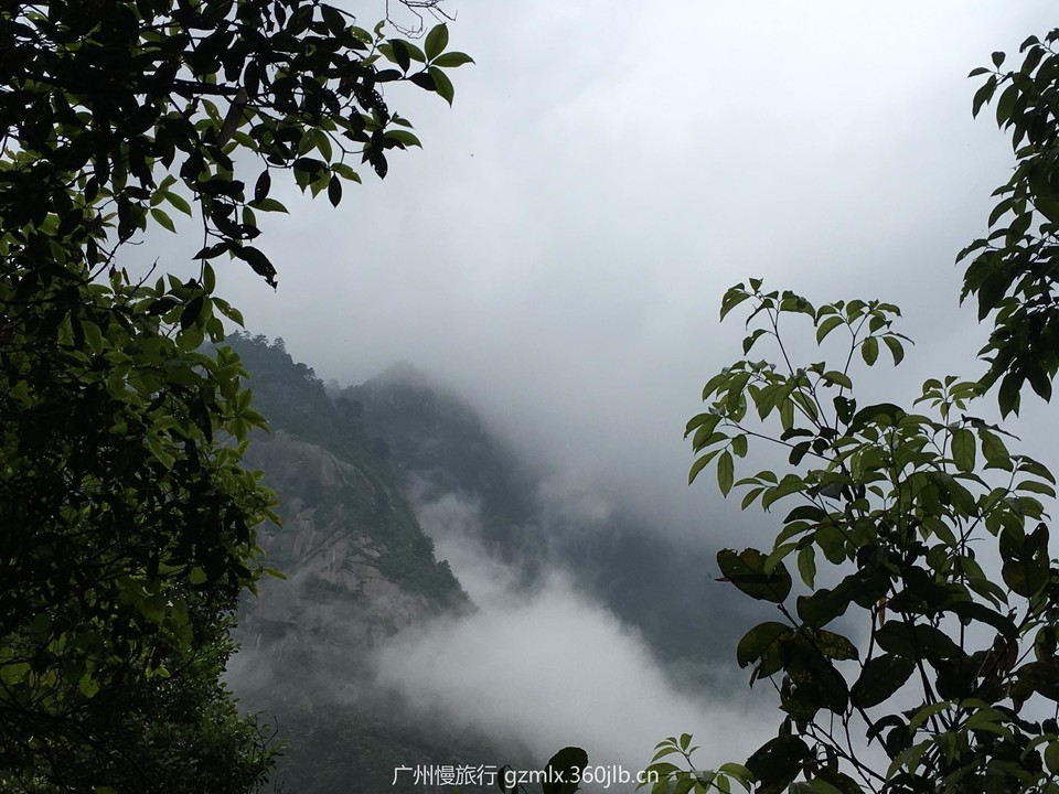 a4e677c0c883968f56737bdd022c3974_org