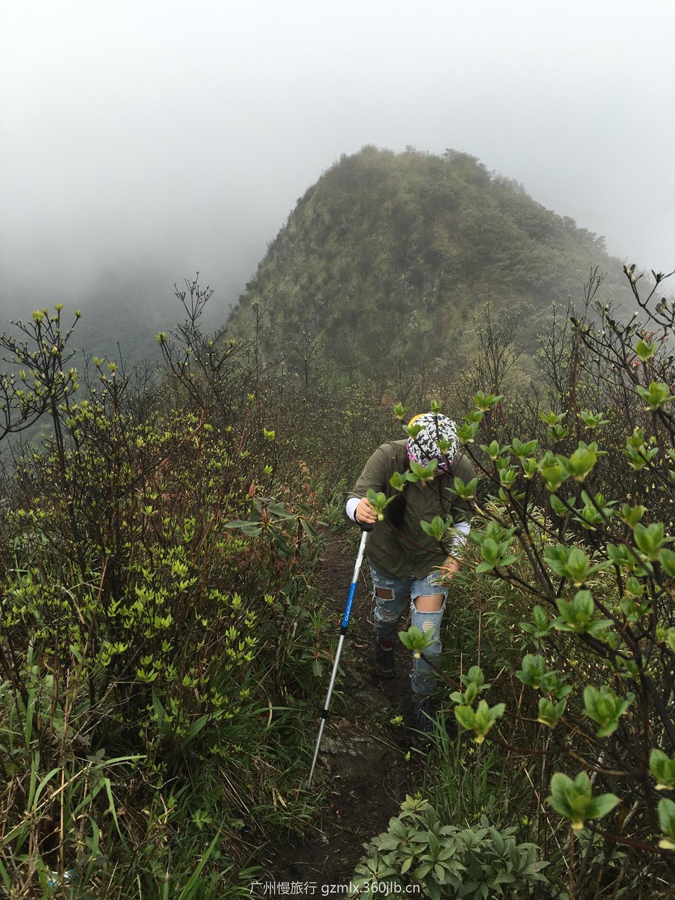 a18ebcfe35adccd434e59ec7e7eab6a6_org