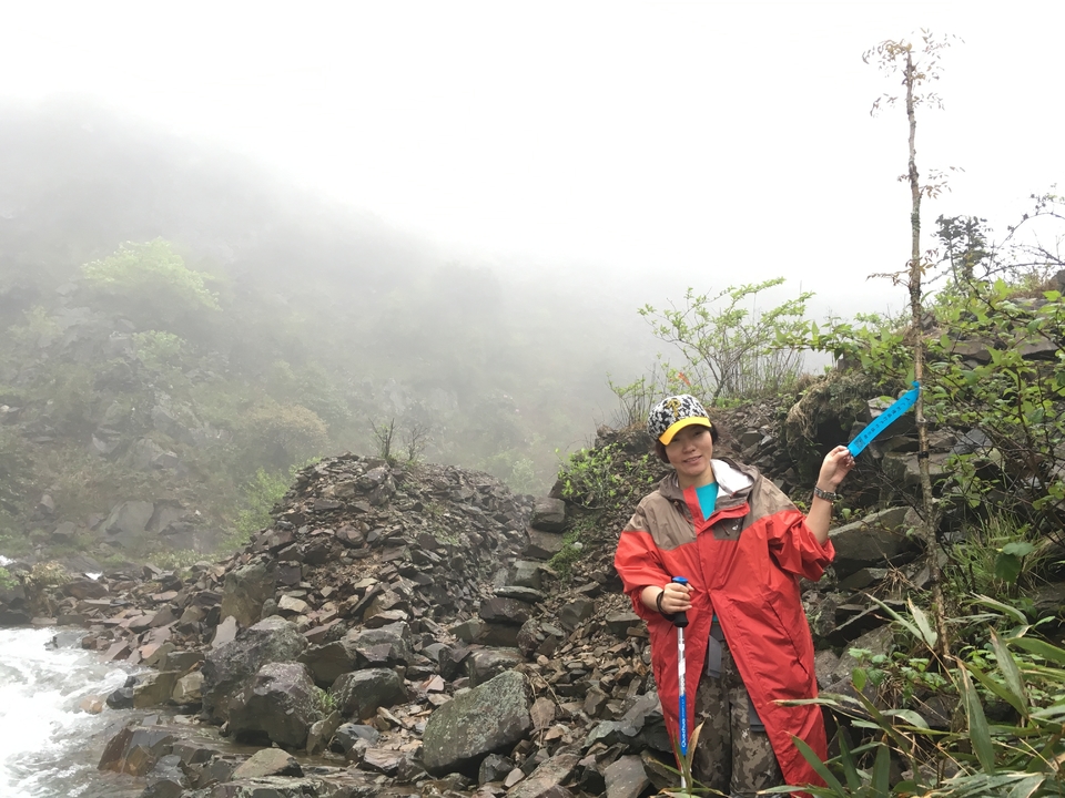 a85e421737e3785a7dc6824632387058_org