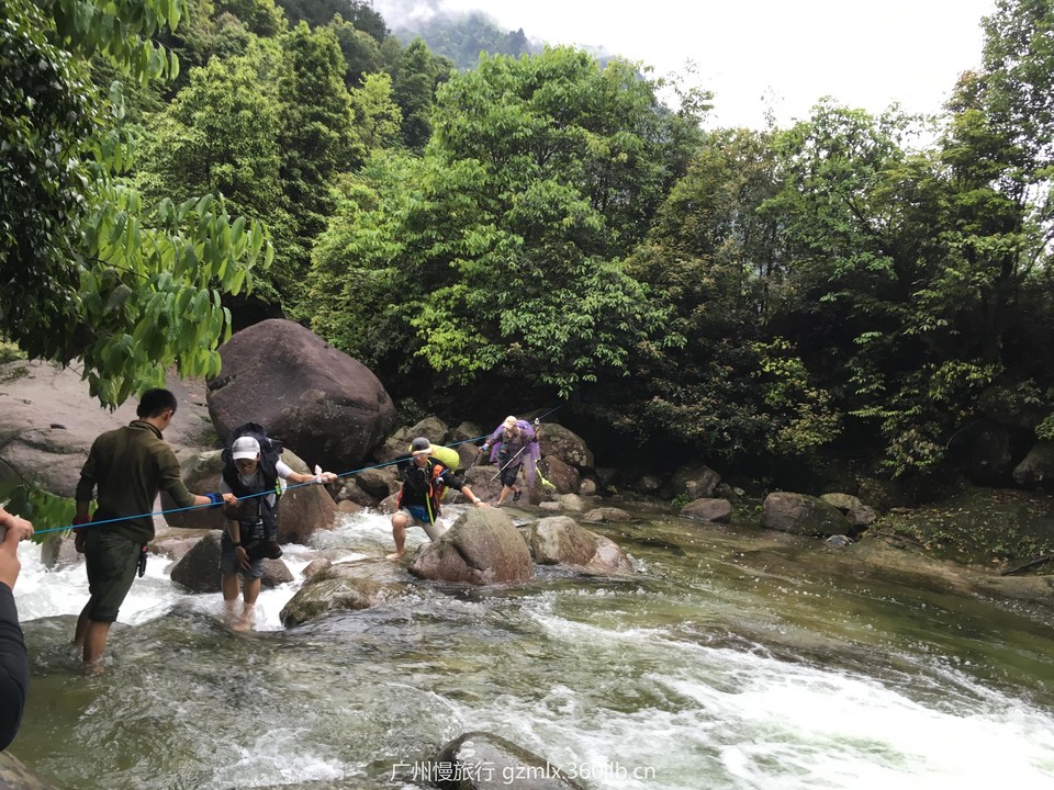 a7361f007e89521c98a2218be4d470d5_org