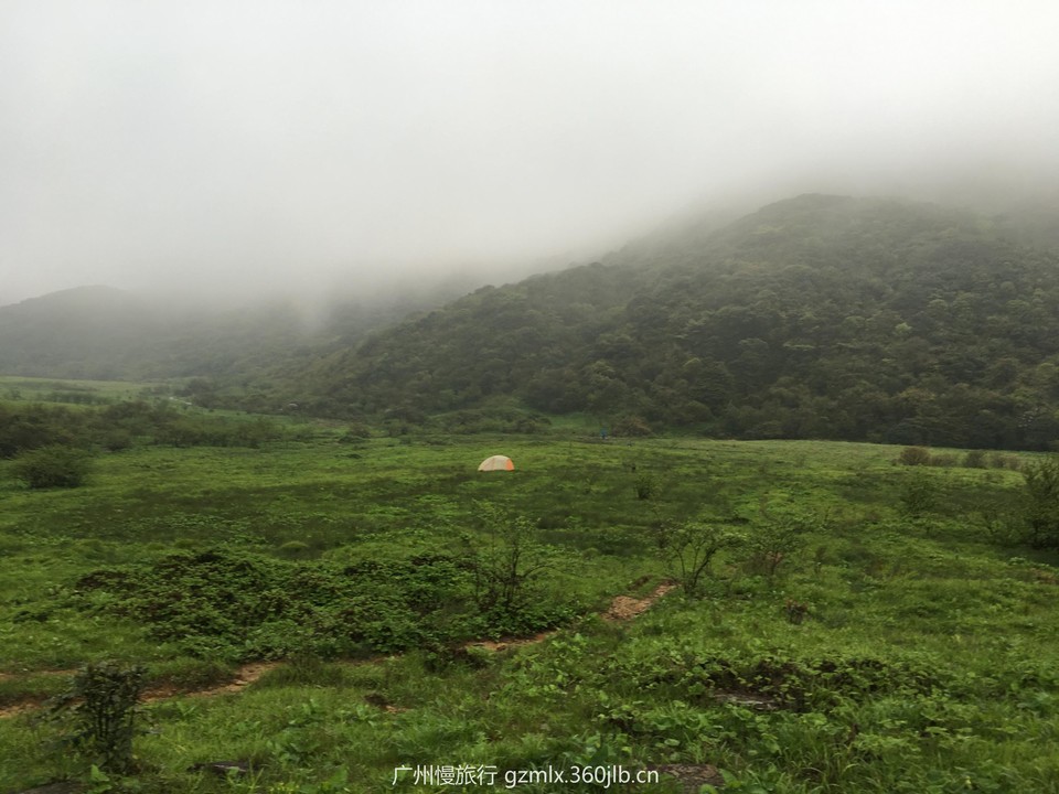 aa19e139fda6d74d71cec9ea931ca077_org