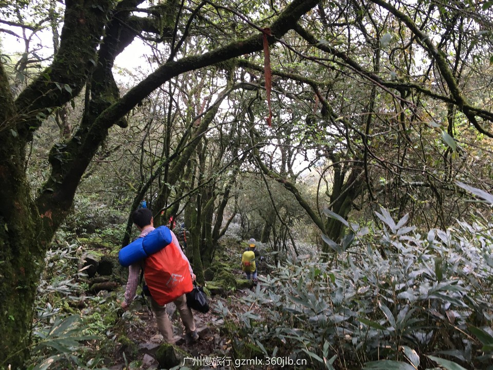 aa644e1c6fcccaf78bccac0da95685e9_org