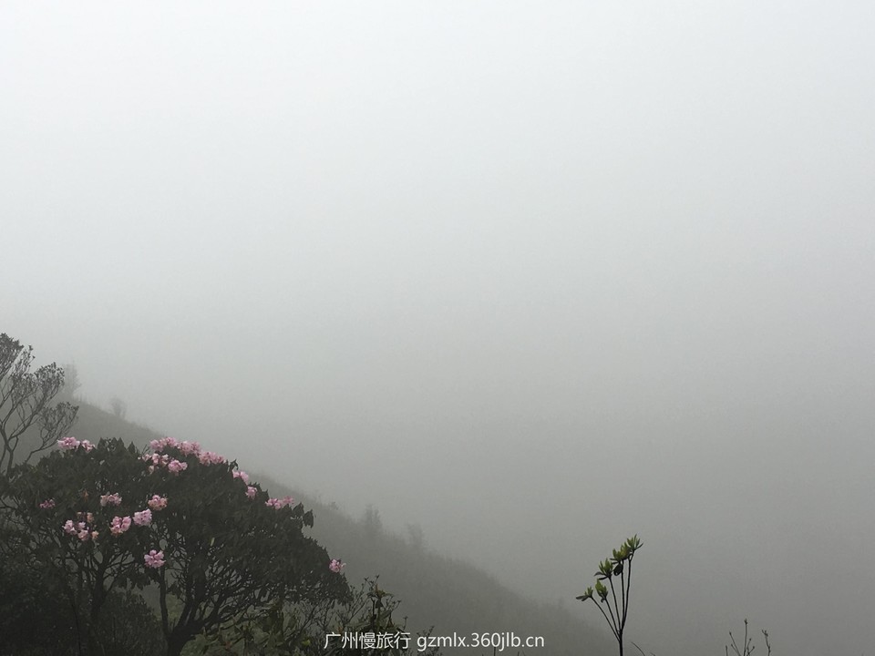 b9fb9add546306144de1d6d92704fa04_org