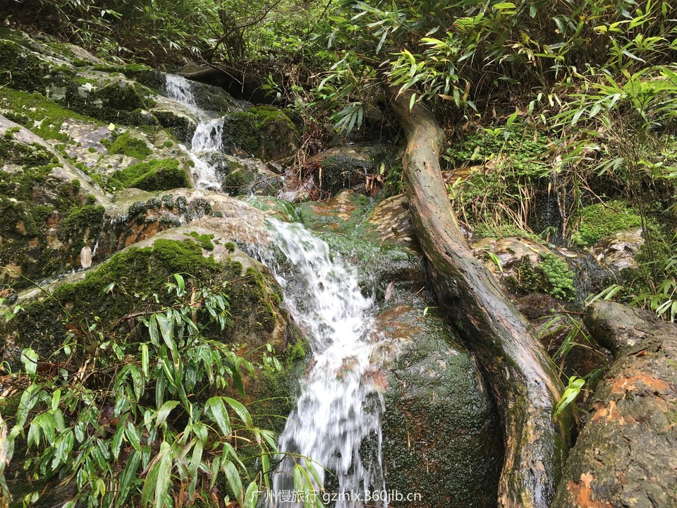 c35c14044a3c888c12e47b0a9d378ca0_org