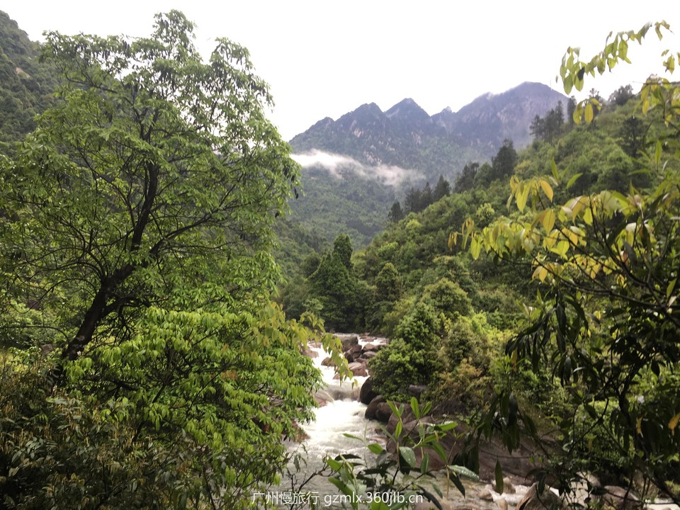 c81d565221215e78f620cb62965de1ce_org